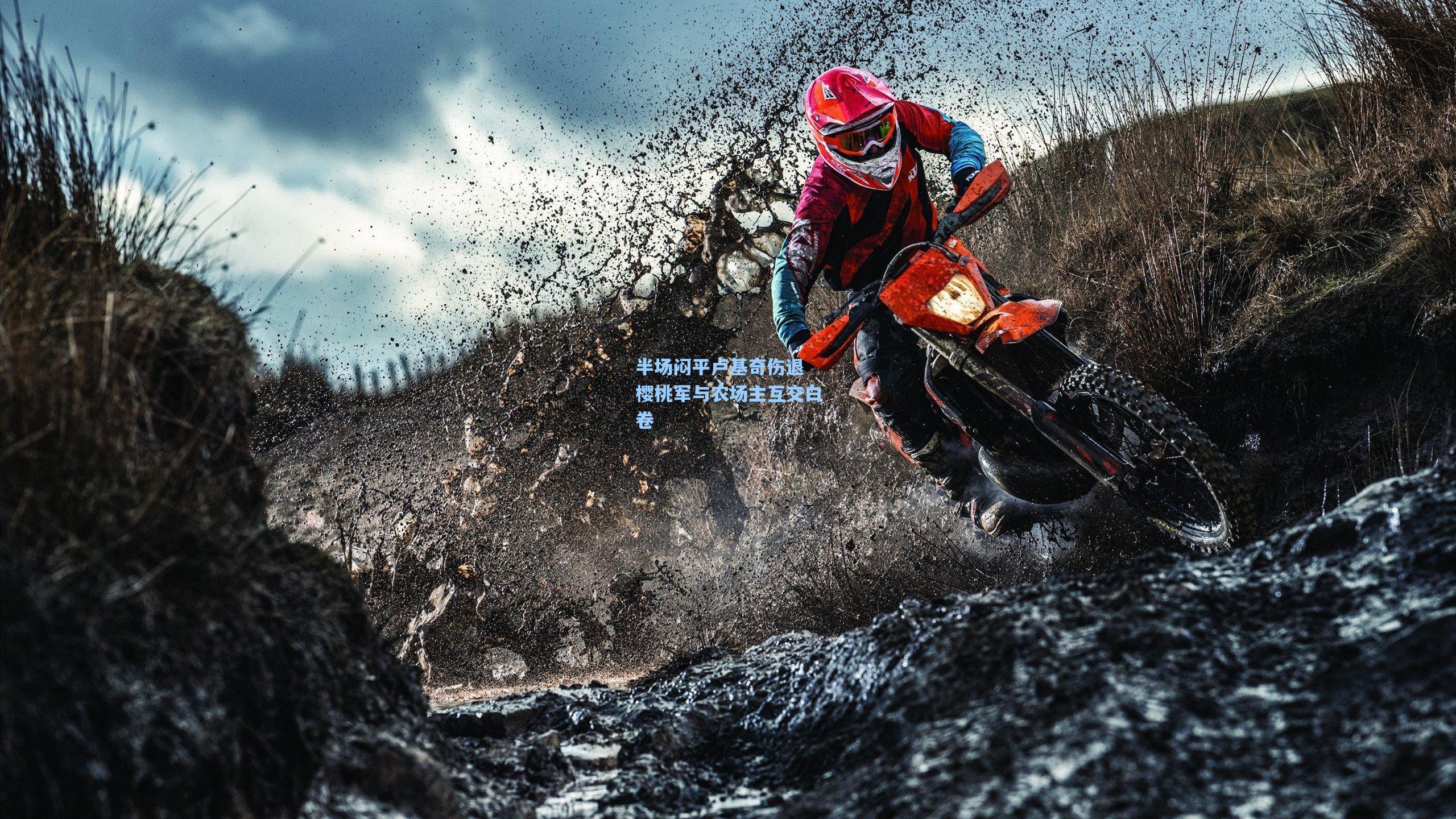 半场闷平卢基奇伤退 樱桃军与农场主互交白卷